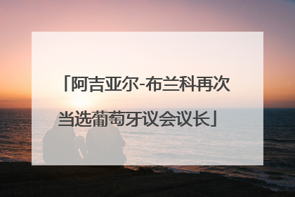 阿吉亚尔-布兰科再次当选葡萄牙议会议长