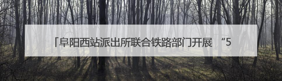 阜阳西站派出所联合铁路部门开展 “5·26 我爱路” 法治安全宣传活动