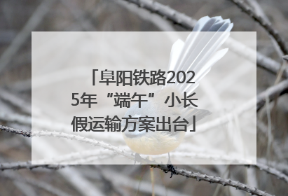 阜阳铁路2025年“端午”小长假运输方案出台