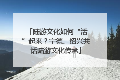 陆游文化如何“活 ”起来？宁德、绍兴共话陆游文化传承