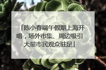陈小春端午假期上海开唱，场外市集、周边吸引大量市民观众驻足