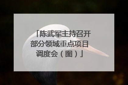 陈武军主持召开部分领域重点项目调度会（图）