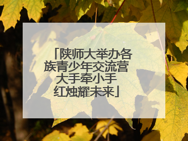 陕师大举办各族青少年交流营 大手牵小手 红烛耀未来