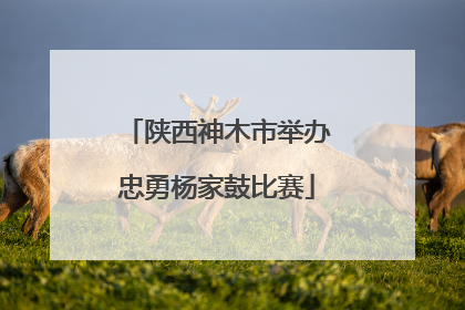 陕西神木市举办忠勇杨家鼓比赛