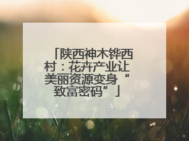 陕西神木铧西村：花卉产业让美丽资源变身“致富密码”