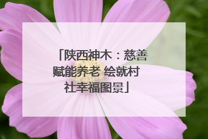 陕西神木：慈善赋能养老 绘就村社幸福图景