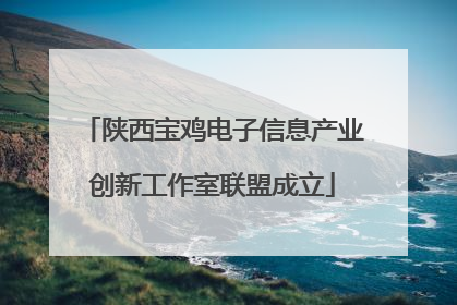 陕西宝鸡电子信息产业创新工作室联盟成立