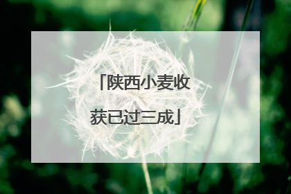 陕西小麦收获已过三成