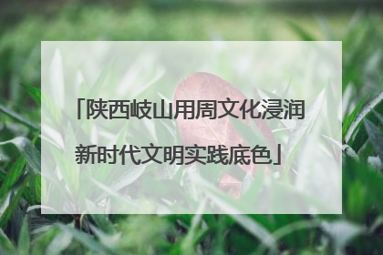 陕西岐山用周文化浸润新时代文明实践底色