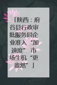 陕西：府谷县行政审批服务局企业准入“加速度” 市场生机“更盎然”
