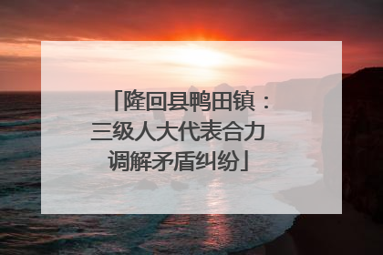 隆回县鸭田镇：三级人大代表合力调解矛盾纠纷