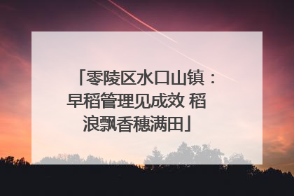 零陵区水口山镇：早稻管理见成效 稻浪飘香穗满田