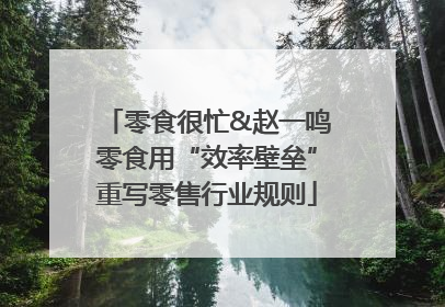 零食很忙&赵一鸣零食用“效率壁垒”重写零售行业规则