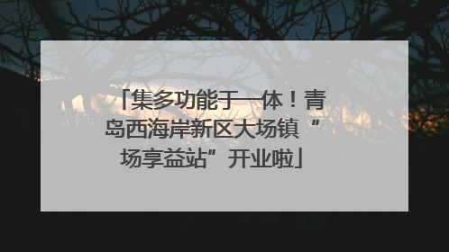 集多功能于一体！青岛西海岸新区大场镇“场享益站”开业啦