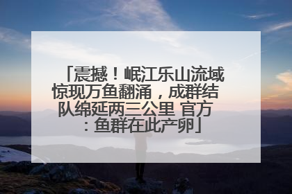 震撼！岷江乐山流域惊现万鱼翻涌，成群结队绵延两三公里 官方：鱼群在此产卵