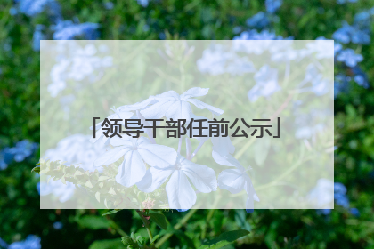 领导干部任前公示