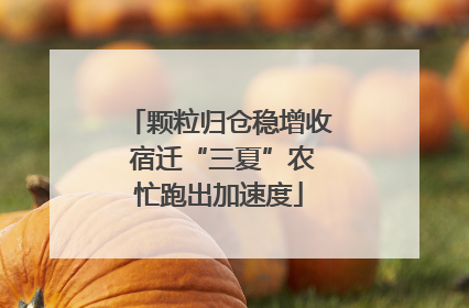 颗粒归仓稳增收 宿迁“三夏”农忙跑出加速度