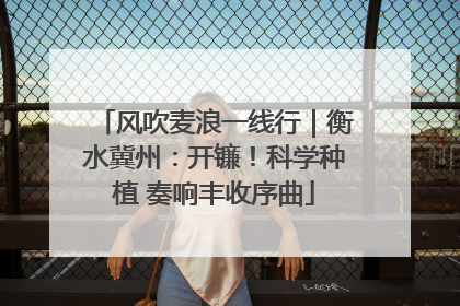 风吹麦浪一线行｜衡水冀州：开镰！科学种植 奏响丰收序曲