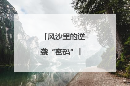 风沙里的逆袭“密码”