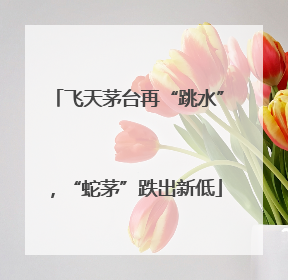 飞天茅台再“跳水”，“蛇茅”跌出新低