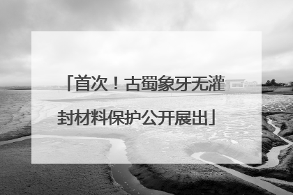 首次！古蜀象牙无灌封材料保护公开展出