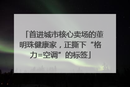 首进城市核心卖场的董明珠健康家，正撕下“格力=空调”的标签