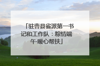 驻曹县省派第一书记和工作队：粽情端午·暖心帮扶