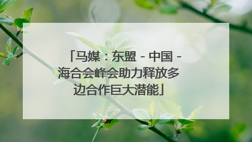 马媒：东盟－中国－海合会峰会助力释放多边合作巨大潜能