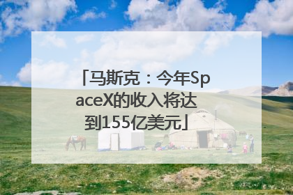 马斯克：今年SpaceX的收入将达到155亿美元