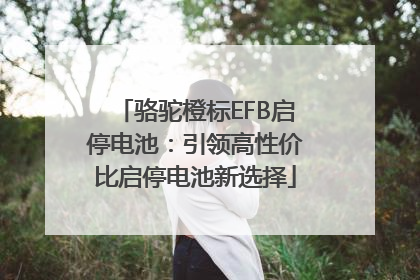 骆驼橙标EFB启停电池：引领高性价比启停电池新选择