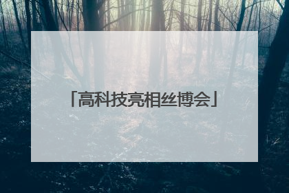 高科技亮相丝博会
