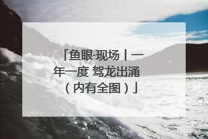 鱼眼·现场丨一年一度 驾龙出涌（内有全图）