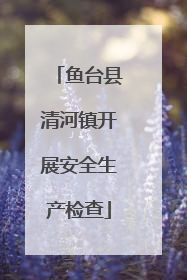 鱼台县清河镇开展安全生产检查