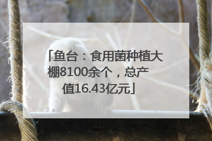 鱼台：食用菌种植大棚8100余个，总产值16.43亿元