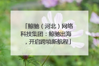 鲸驰（河北）网络科技集团：鲸驰出海，开启跨境新航程