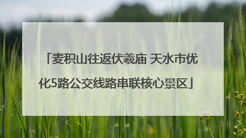 麦积山往返伏羲庙 天水市优化5路公交线路串联核心景区