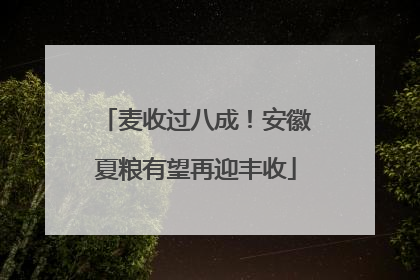 麦收过八成！安徽夏粮有望再迎丰收