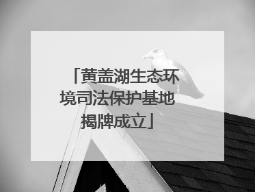 黄盖湖生态环境司法保护基地揭牌成立