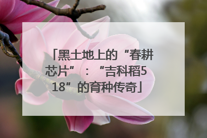 黑土地上的“春耕芯片”：“吉科稻518”的育种传奇