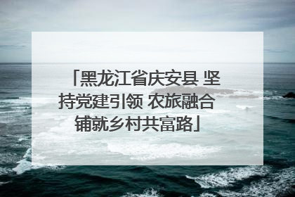 黑龙江省庆安县 坚持党建引领 农旅融合铺就乡村共富路