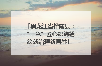 黑龙江省桦南县：“三色”匠心织锦绣 绘就治理新画卷