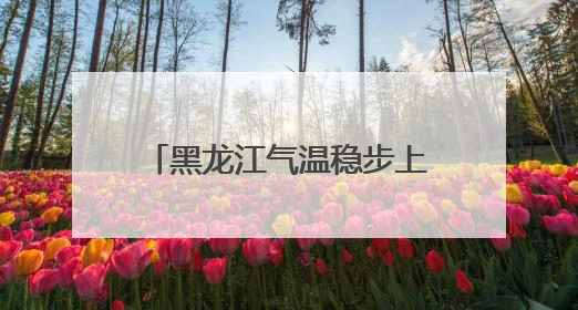 黑龙江气温稳步上升中！但要注意雷暴大风、小冰雹……