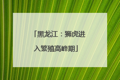 黑龙江：狮虎进入繁殖高峰期