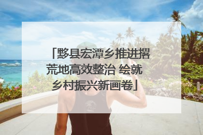 黟县宏潭乡推进撂荒地高效整治 绘就乡村振兴新画卷
