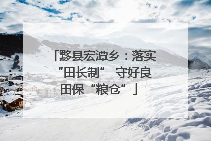 黟县宏潭乡：落实“田长制” 守好良田保“粮仓”
