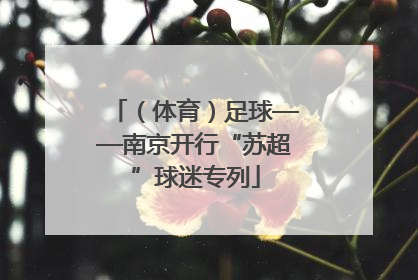 （体育）足球——南京开行“苏超”球迷专列
