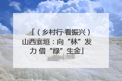 （乡村行·看振兴）山西襄垣：向“林”发力 借“绿”生金