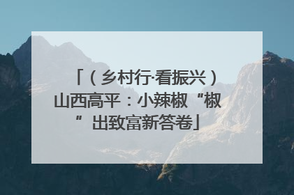（乡村行·看振兴）山西高平：小辣椒“椒”出致富新答卷