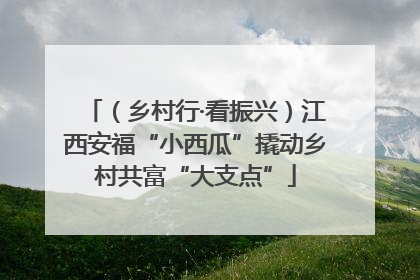 （乡村行·看振兴）江西安福“小西瓜”撬动乡村共富“大支点”