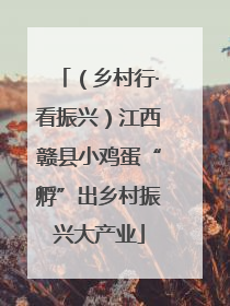 （乡村行·看振兴）江西赣县小鸡蛋“孵”出乡村振兴大产业